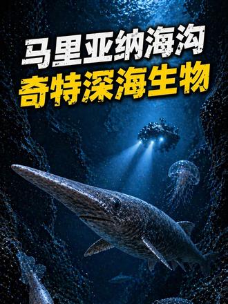 马里亚纳海沟的奇特生物们 #海洋生物 #马里亚纳海沟 #奇特生物