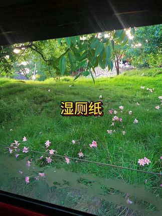 太超值了!普通湿厕纸的价格薅到了一箱柔邦益生菌湿厕纸的羊毛!#湿厕纸 #柔邦湿厕纸 #湿厕纸推荐 #柔邦益生菌湿厕纸 #超便宜超划算