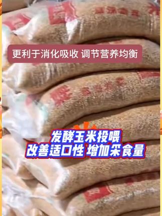 虾蟹养殖自己做发酵饲料就用这款玉米专用发酵剂一包就能发酵300斤饲料