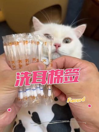 这清洁棉签也太方便了,#新手养猫#科学养宠攻略#清洁棉签