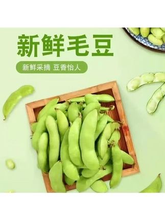 【顺丰包邮】2025新鲜带壳毛豆现摘现发装泡沫箱加冰发货#好物测评 #好产品一起分享 #超便宜超划算