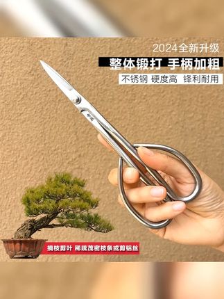 青辰叶芽剪盆景造型制作小枝剪不锈钢尖头剪刀插花园艺多功能剪子 #盆景 #花艺剪刀 #叶芽剪 #盆景工具 #一起养花