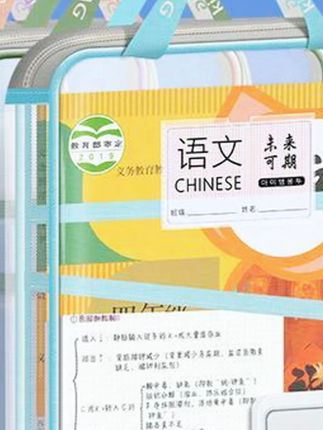 #拎书袋  #科目袋  #文件袋  #科目分类袋  #学科袋                 L型大开口学科科目袋分类袋a4文件袋小学生透明综合资料袋拎书袋