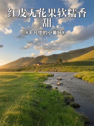 还有人能拒绝新鲜无花果吗?它被称为树上的糖包子,甜到流蜜,#新鲜采摘   #新鲜无花果  #这也太好吃了  #好吃😋  #甜甜的味道