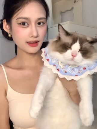 晚上7点半记得来找晓彤哦~ #热点 #小猫 #直播