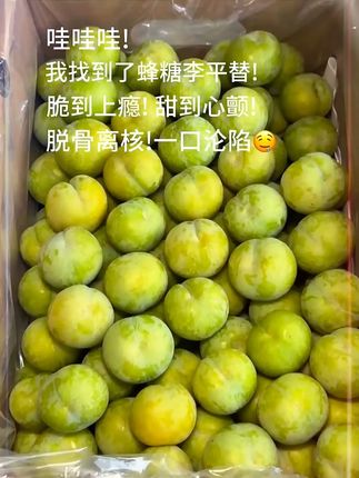 重庆青脆李应季新鲜水果脆甜多汁现摘现发中通冷链包邮#又到了吃李子的季节 #新鲜应季水果 #快来一起尝个鲜 #新鲜采摘