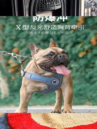 狗狗牵引绳泰迪胸背带夏胸背防爆冲狗链中型小型犬狗背心狗绳项圈 #宠物健康 #科学养宠 #萌宠好物
