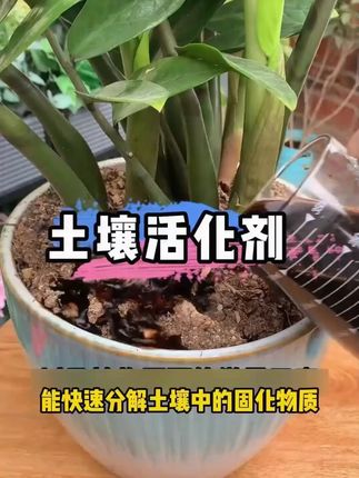土壤板结不用怕!赶紧用上这个松土精! #种地 #松土精 #改良土壤