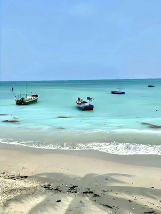 牙黄嘴臭不敢靠近与他人讲话的,赶紧试试这款.溶菌酶美白牙膏,不仅刷得干净,还清新好闻!1#好物推荐🔥 #徐姥姥成成 #牙膏 #牙膏推荐 #美白牙膏