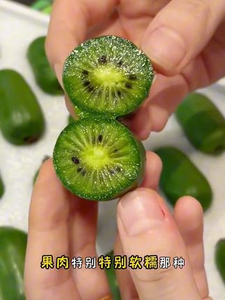 一年就吃这一季的丹东软枣猕猴桃,真的太好吃了,软糯香甜,纯甜爆汁,#软枣猕猴桃 #快来一起尝个鲜 #优质水果 #应季水果