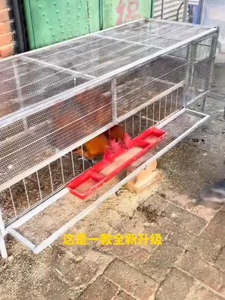 期末考试结束就放假了,新版的教材笔记提前给孩子准备好#期末复习#预习课本#回归课本#暑假练习#期末考试复习现状