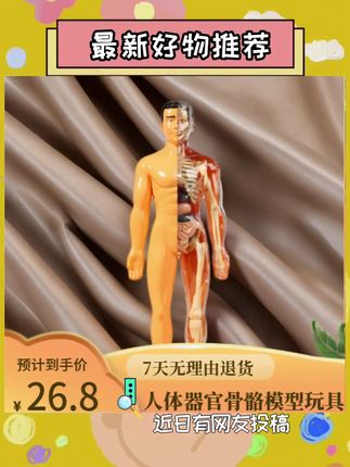 #益智玩具 小朋友自己就可以#DIY 的#人体模型玩具 让孩子认识自己的身体~学会好好爱惜身体,满足孩子好奇心#手作diy #手工diy