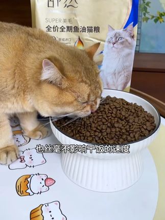 家里猫咪不爱吃鱼油的,可以给他吃这款鱼油猫粮 想要性价比高,还想猫咪吃的好,那就选择这款舒然鱼油猫粮吧,不仅营养,还可以美毛亮毛Z#猫粮 #养猫新手 #萌宠好物
