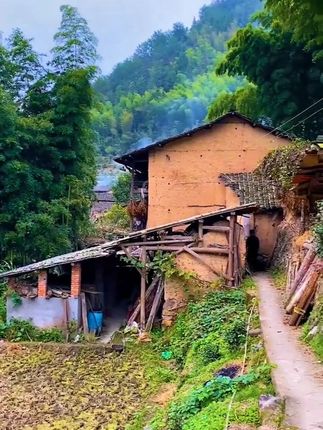 地瓜粉 #地瓜粉 #闽南语 #闽南 #厦门 #泉州