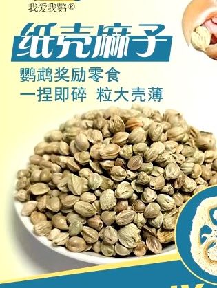 想要一只亲人听话的小鹦鹉吗,那就试试这个增肥奖励小零食吧  #鸟粮#  鹦鹉粮  #鹦鹉#  鹦鹉鹦鹉萌萌哒逗鹦鹉  #鹦鹉日常     #想要一只亲人听话的小鹦鹉