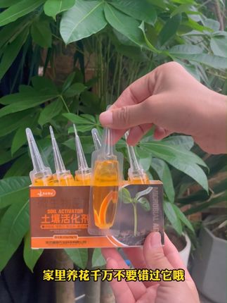 养花如果只浇自来水,土壤就容易板结。植物就会慢慢走向衰败,推荐你试试它#种植小技巧 #养花小知识 #花卉绿植