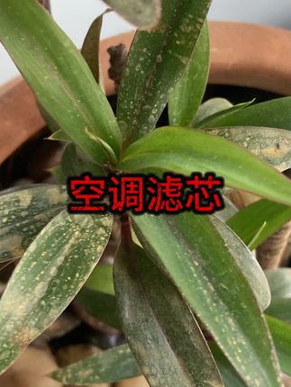#凯迪拉克 #空调滤芯 #车内健康