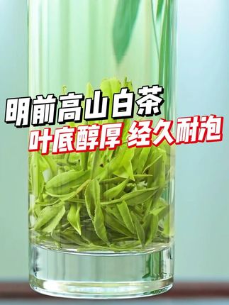 100多一斤的高山白茶,视频同款茶叶,下方小黄车同款商品#白茶 #今天你喝茶了吗 #新茶上市 #召唤茶友 #口粮茶推荐