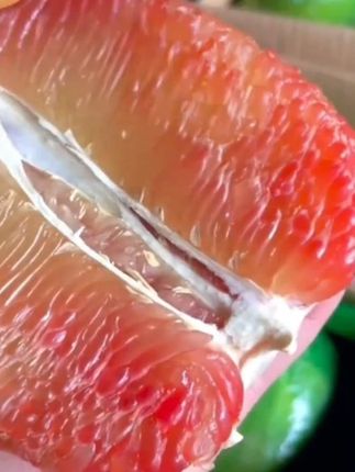 自从怀孕我就一直回购这款泰国翡翠蜜柚,皮薄果肉饱满,很好剥皮,汁水丰盈吃起来纯甜爆汁巨好吃!#柚子 #孕妇适合吃的水果 #翡翠柚 #进口水果 #泰国翡翠柚 。。