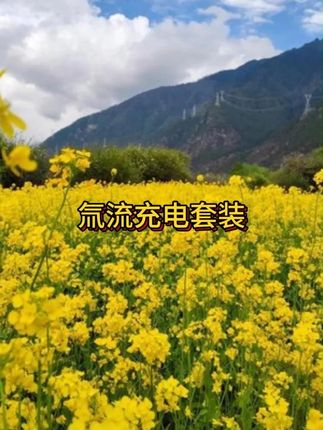 #充电器 #快充  #数据线套装  #苹果安卓通用