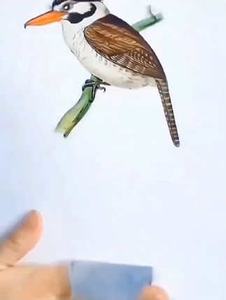 家人们,还在愁墙面单调?这款墙贴画别错过!喜鹊、画眉、小鸟、鹦鹉等可爱鸟儿齐聚,水彩画风超清新。不管是客厅、卧室还是儿童房,甚至冰箱、橱柜都能贴。可移除设计,随心更换,轻松给家添生机,赶紧入手装点温馨小窝!#居家装饰