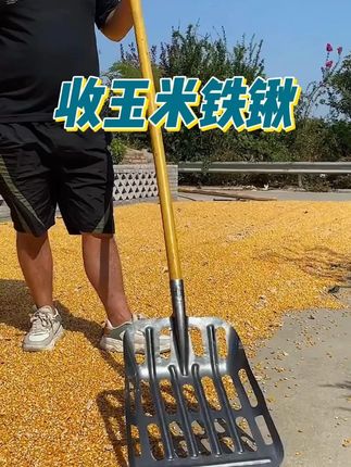 #锰钢玉米专用铲 #秋收 #五金工具 #扒苞米小帮手