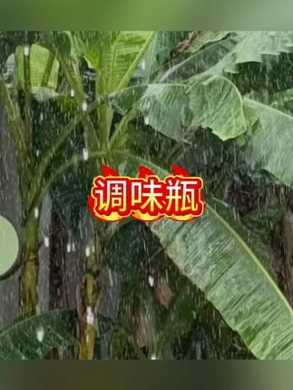 丘邦调料盒五合一多格厨房五格调料罐胡椒收纳调味瓶套装组合家用#调料瓶 #收纳盒 #调料盒#厨房用品 #厨房好物