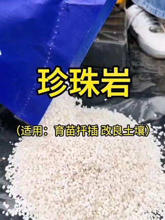 月逸轩珍珠岩,养花好植料 #珍珠岩 #兰花植料 #养花好物 #多肉园艺土 #兰花种植土