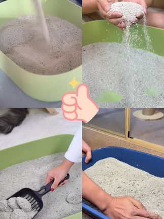 破价 两件八折 #猫砂#猫#猫咪的迷惑行为#矿砂#萌宠