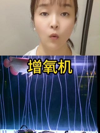 ACO电磁式卖鱼充氧泵增氧机海鲜鱼池鱼缸增氧泵大功率打氧机爆氧