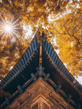 #闽南 #鸡中翅 #好吃 #新鲜