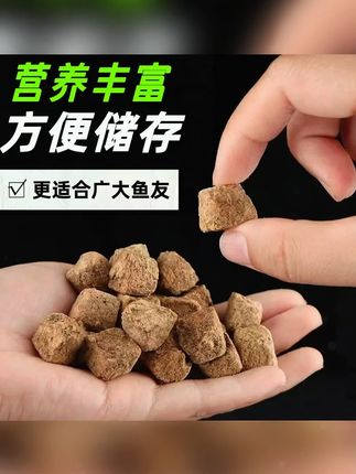 太划算了,7块9一包的丰年虾,足足120块,终于被我找到了。 #丰年虾块 #喂鱼 #鱼粮 #龟粮 #养鱼人