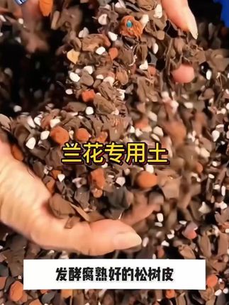 兰花植料杉树木屑松树皮珍珠岩三合一疏松沥水花卉绿植通用营养土#养兰人  #高配兰花土  #爱兰花爱生活
