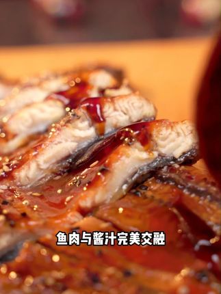 色泽诱人的鳗鱼饭,你心动了吗!#鳗鱼饭 #蒲烧鳗鱼 #小孩
