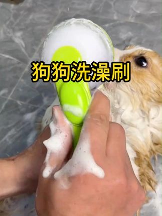 挑战用这个一分钟洗一只小脏狗.#强烈推荐 #给狗狗洗澡 #萌宠好物 #宠物洗澡刷 #新手养狗