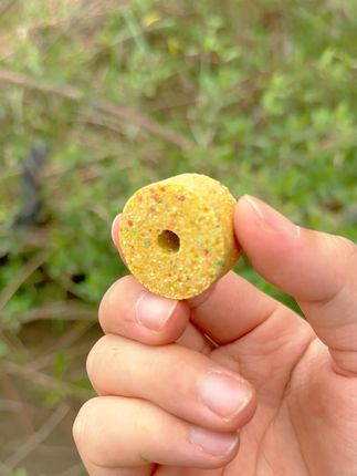 &简单挂钩直接开钓,小爆炸钓鱼就是这么简单 #小爆炸 #饵料 #钓鱼 #户外