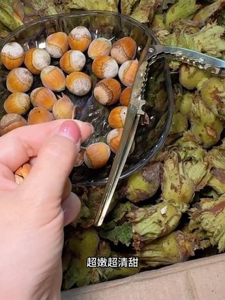 颗颗都是粒大饱满的,新鲜的真的很好吃 #榛子 #新鲜榛子