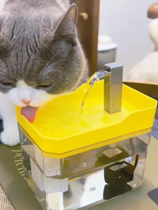 猫咪饮水机自动循环流动饮水器猫喝水器狗狗水盆喂水碗宠物用品yw