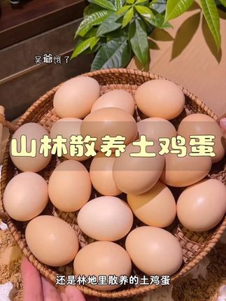 #土鸡蛋 #农家散养土鸡蛋 #好吃又营养 #鸡蛋 #优质农产品