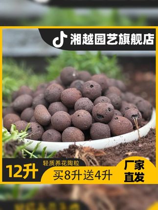 轻质陶粒花盆垫底防烂根!12升5块9包邮! #多肉  #多肉养护 轻质陶粒花盆垫底防烂根!12升5块9包邮!  #多肉  #多肉养护