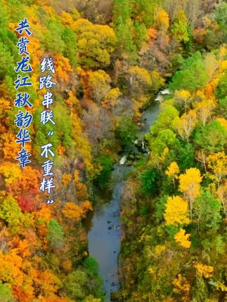 中秋国庆来黑龙江怎么玩?跟着“哈伊黑”金秋特色康养旅游线路游龙江!#我在黑龙江等你 #黑龙江杠杠滴 #北国好风光美在黑龙江