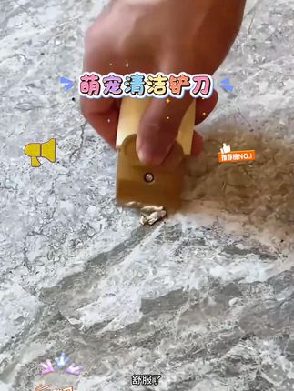 这可太厉害了!家里备个这种卡通造型的除胶小铲刀真的太方便了,让家居清洁再也没有难干的家务!!#好物推荐🔥 #居家好物
