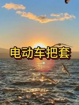 #出门必备 #毛绒电动车把套 #电动车把手套 #把手套