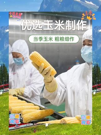 拾兄弟东北黑土地黄金米非大米粗粮细作玉米主食五谷杂粮新米组合 #零食小吃 #小吃
