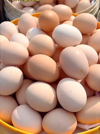 #土鸡蛋 #农家散养土鸡蛋 #好吃又营养 #鸡蛋 #优质农产品