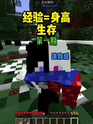 经验=身高生存-1-"当身高随着等级提升而增加....." #我的世界 #mc无感y #趣味生存 #抽象
