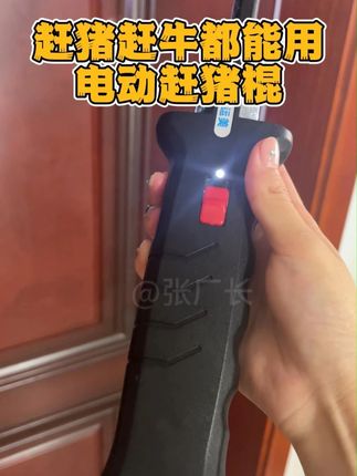 赶猪赶牛都能用的电动赶猪棍,防水防漏电,雨天夜晚都能用 #养牛 #赶猪棒 #赶猪神器 #赶猪电棍 #养殖