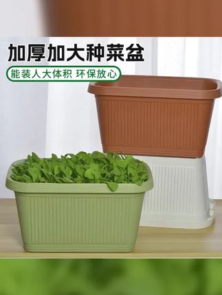 中天广源树脂特大号花槽,简约长方种菜盆,庭院蔬菜耐用花盆,植物专属豪宅,种出绿意盎然! #树脂花槽 #庭院蔬菜 #耐用花盆 #种菜盆