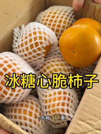 #糖心巧克力脆柿是一款巨脆巨甜的水果 #巧克力脆柿子 #强烈推荐 #应季水果 #新鲜采摘
