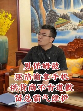 男保姆被人欺负,苗总霸气维护...... 苗总的供货商诬陷小贾偷拿手机,小贾平白无故被打,苗总生气竟这样做......#家庭 #情感 #保姆